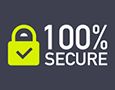 100% Secure Website